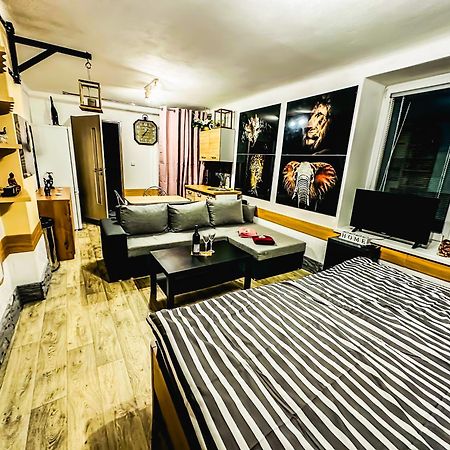 Apartman Pod Hradem Horšovský Týn エクステリア 写真