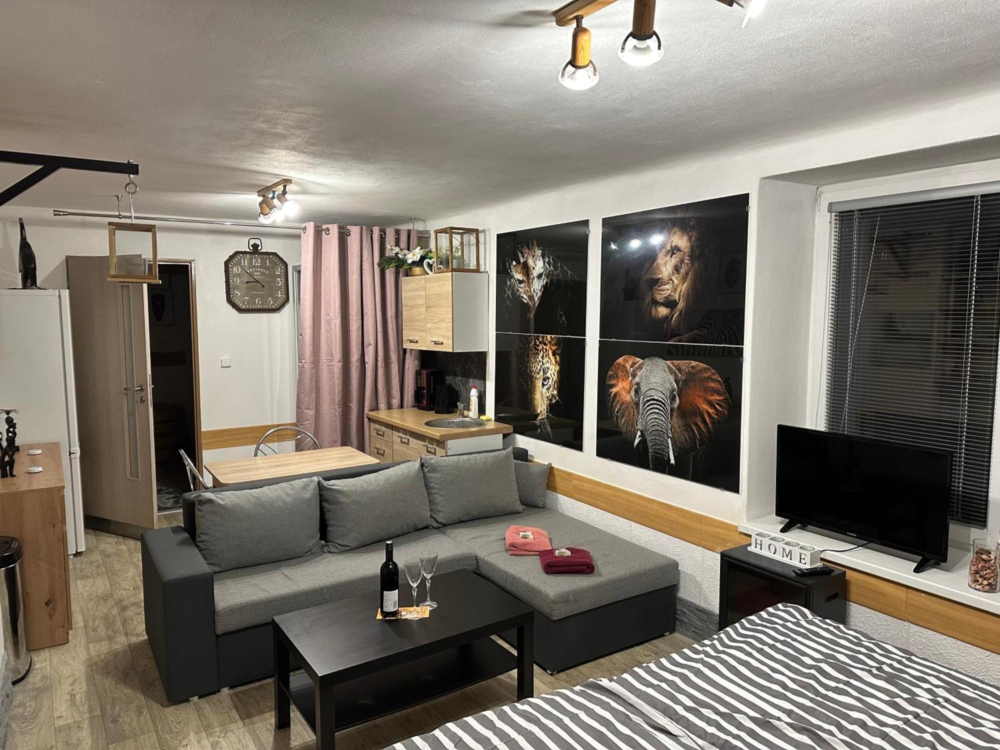 Apartman Pod Hradem Horšovský Týn エクステリア 写真