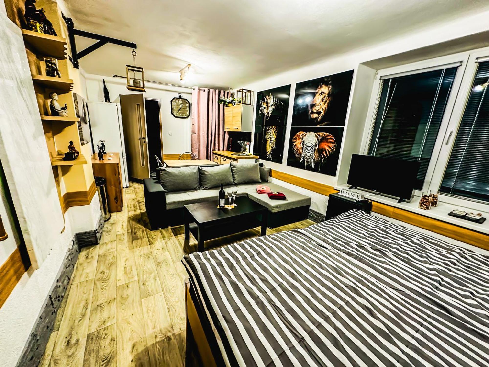 Apartman Pod Hradem Horšovský Týn エクステリア 写真