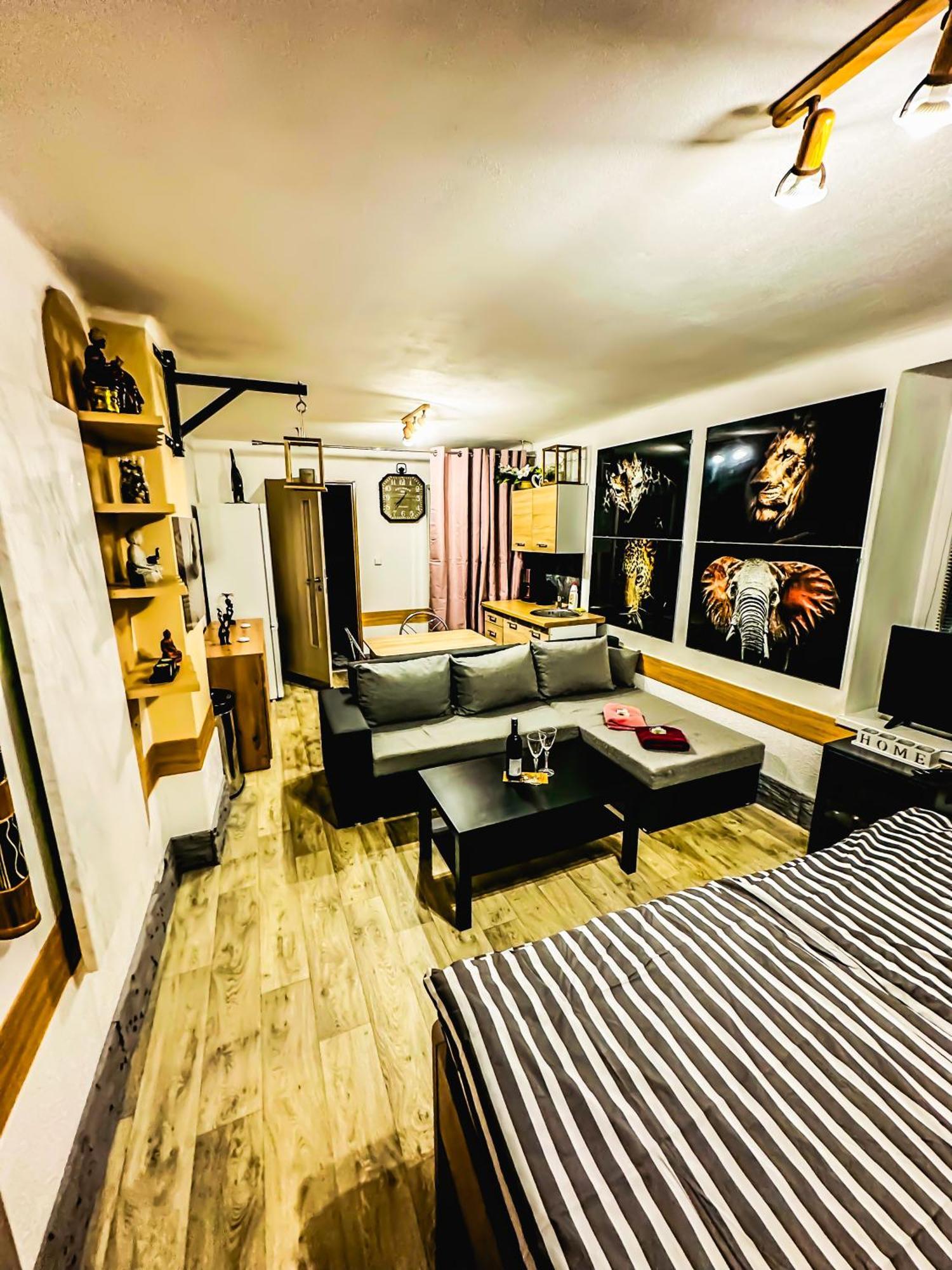 Apartman Pod Hradem Horšovský Týn エクステリア 写真